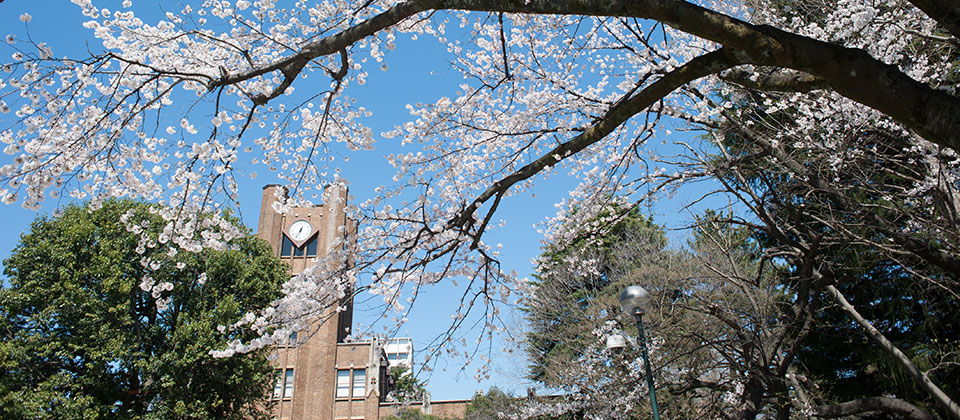 The University of Tokyo,Komaba Graduate School of Arts and Sciences, College of Arts and Sciences