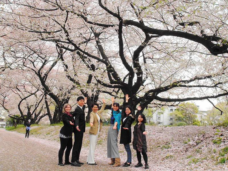 Annual seminar under cherry blossoms in full bloom
